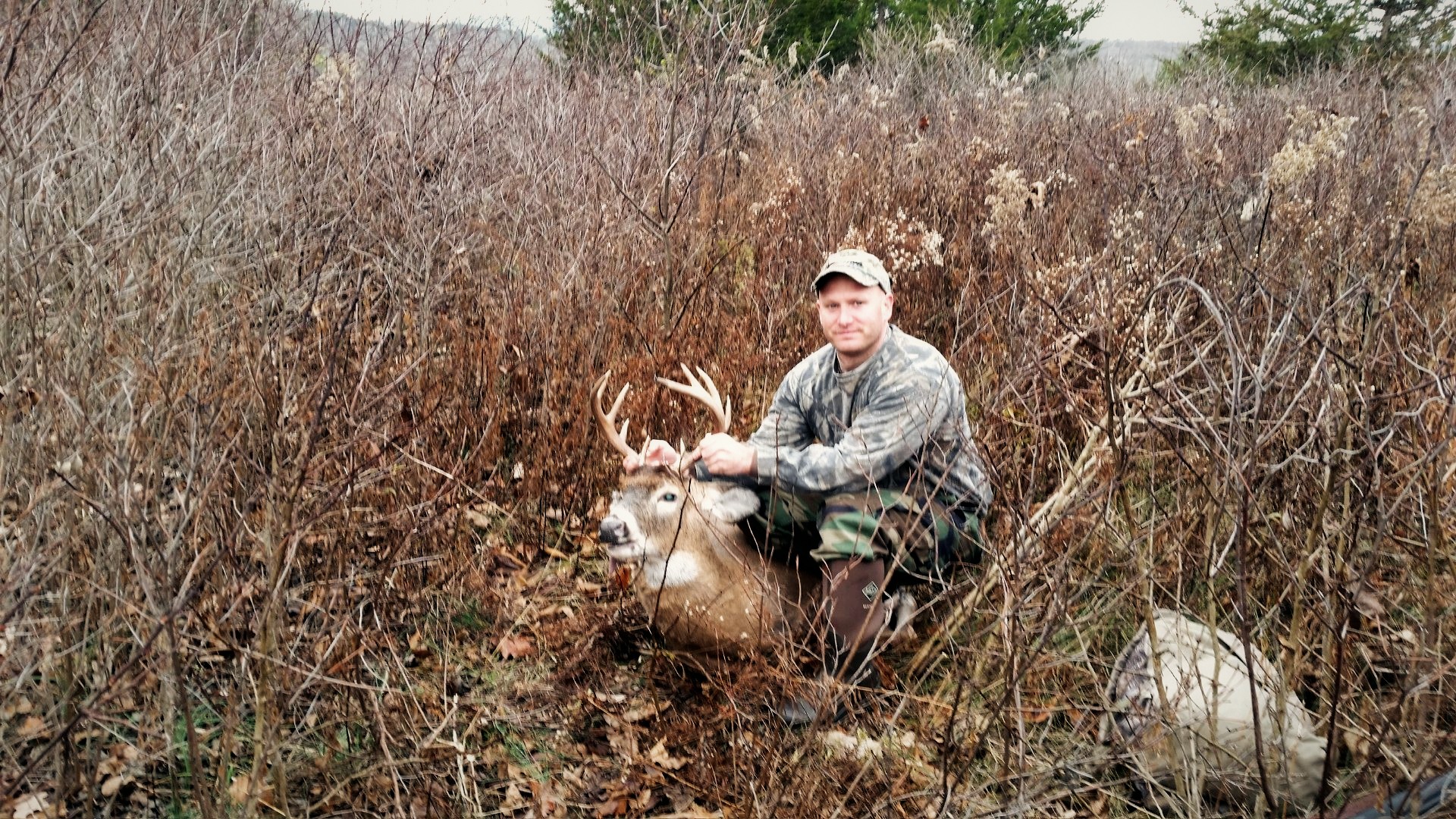 Hunter kneeling with a whitetail buck in thick late-season brush