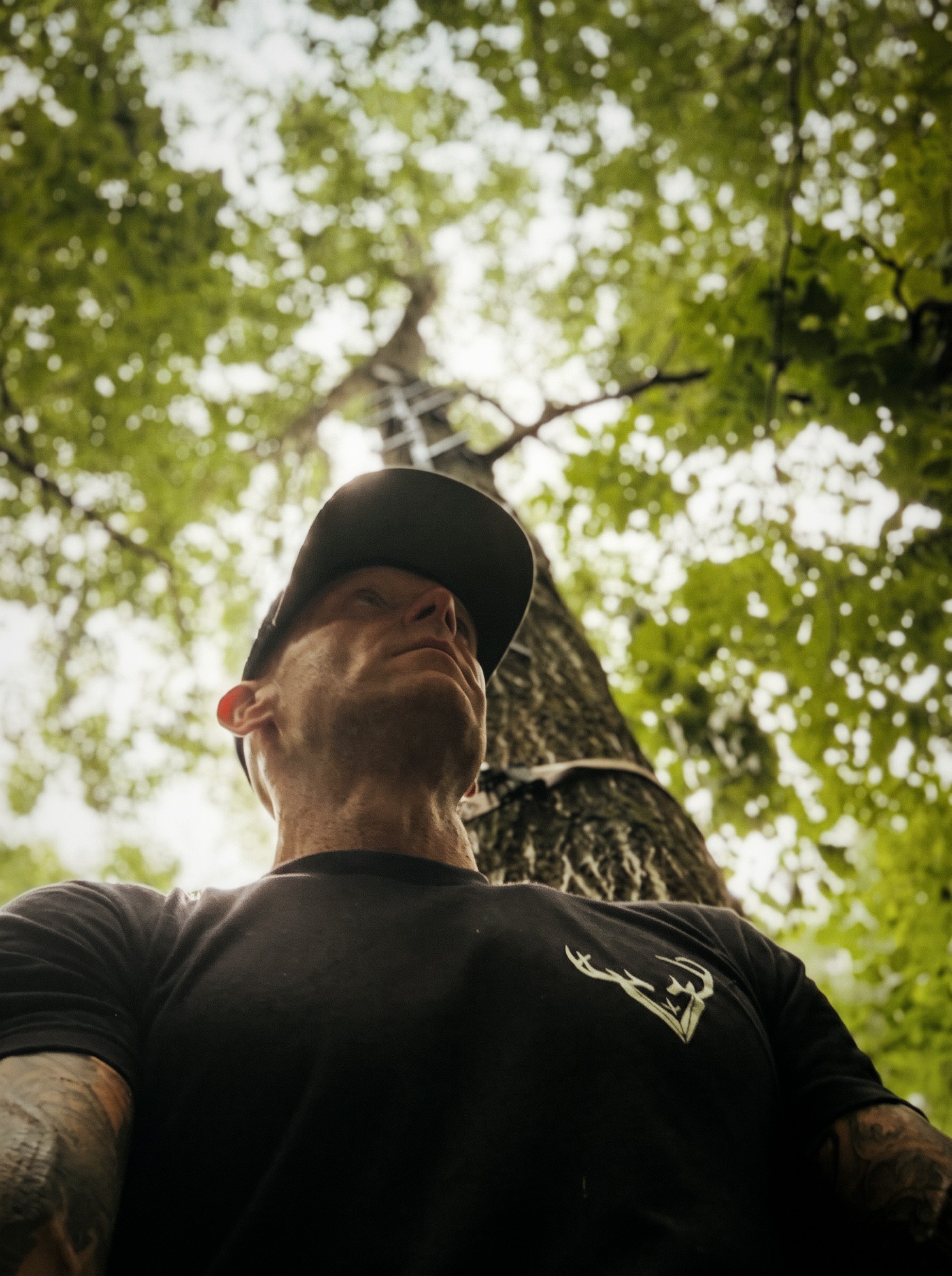 Anthony DelVecchio beneath a tree stand in summer timber
