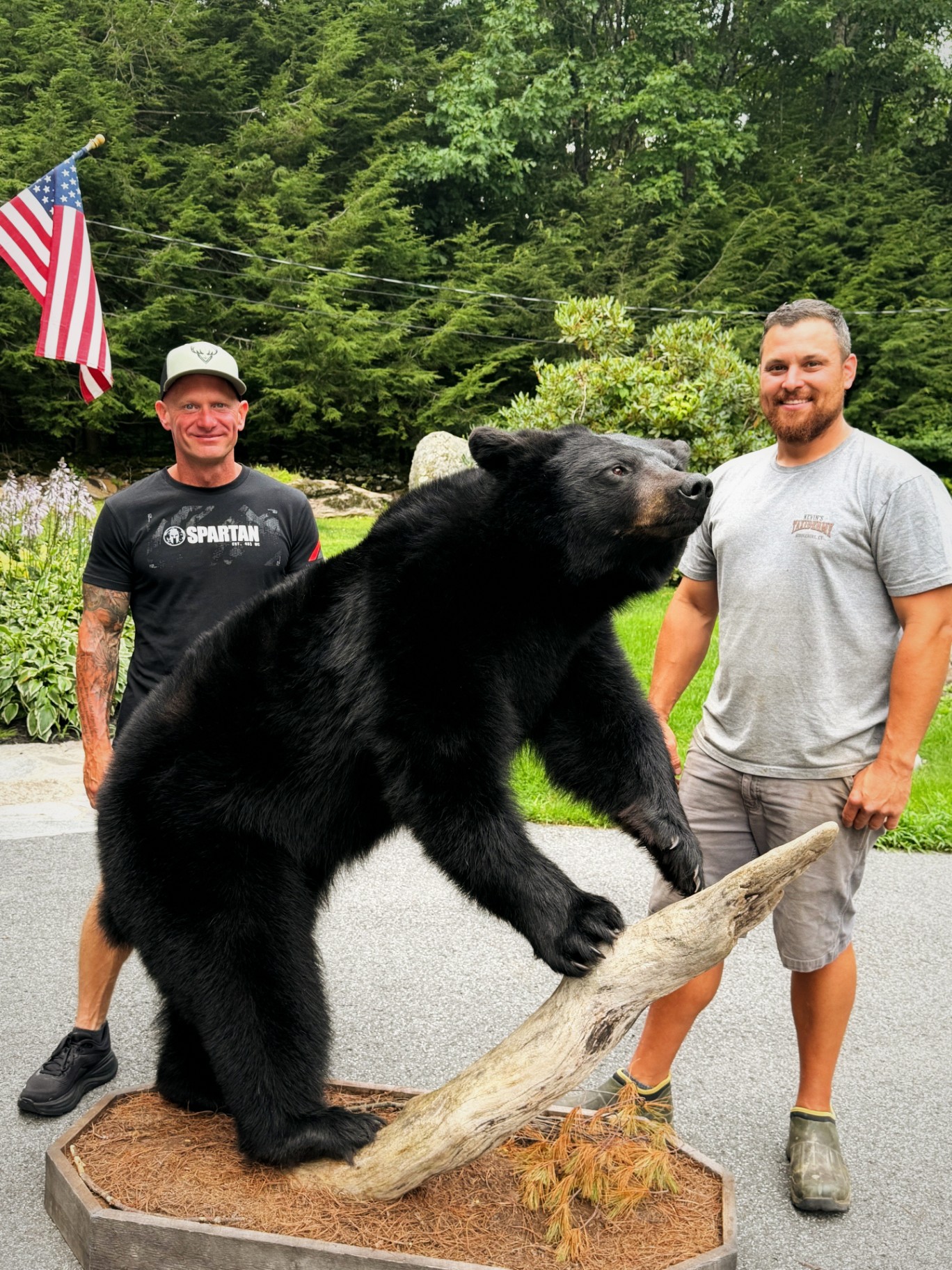Anthony DelVecchio with a full-body black bear mount at the taxidermist