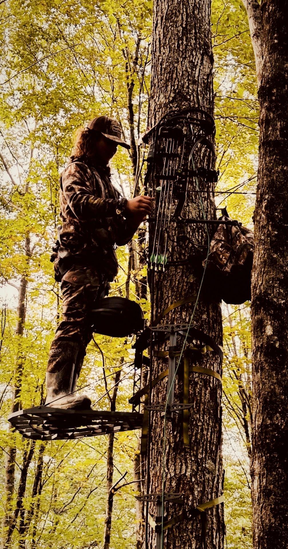Bowhunter hanging a set high in a tree in green summer timber