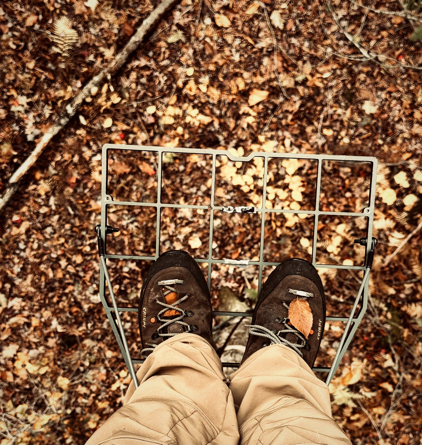 Looking down from a treestand platform onto autumn leaves