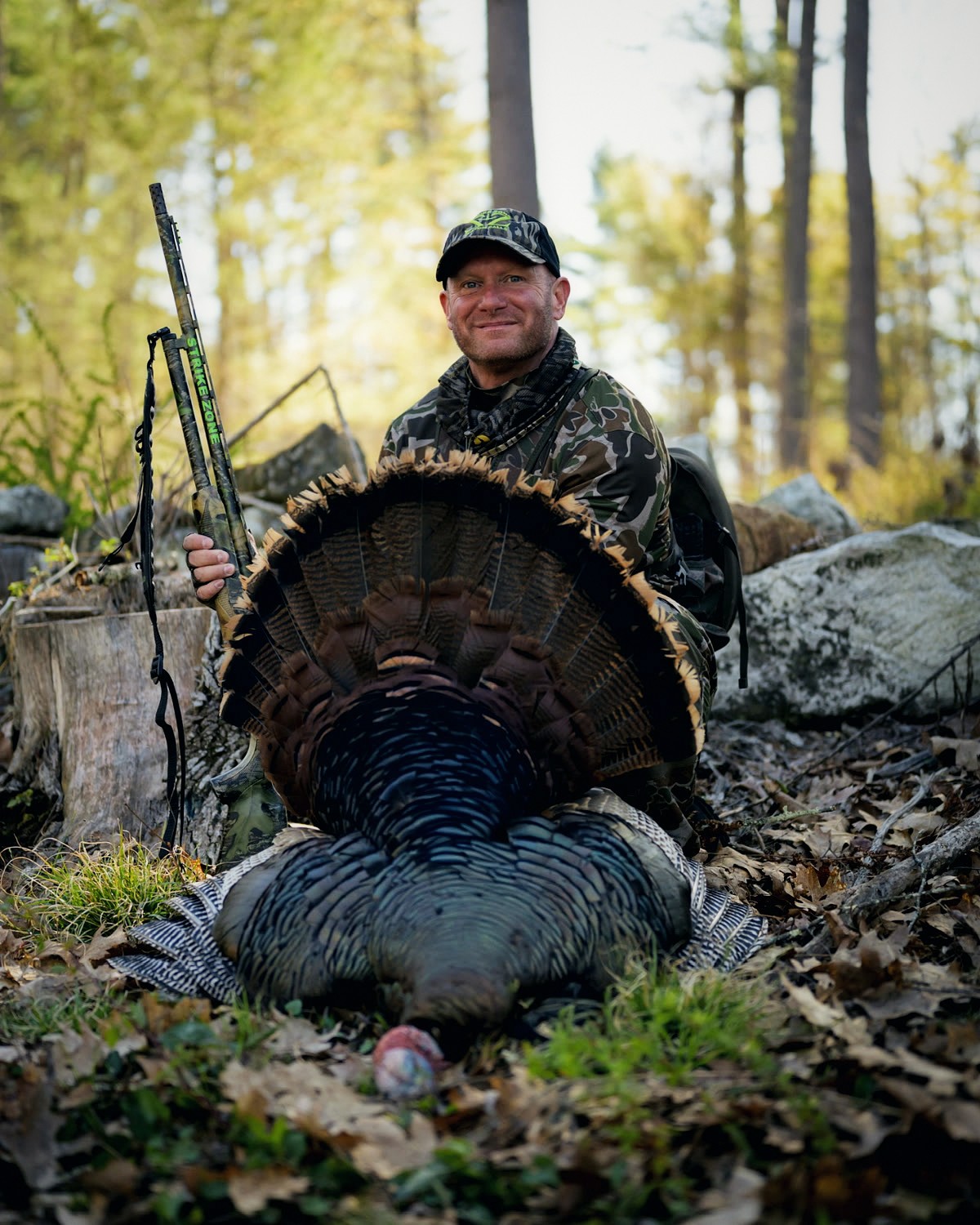 Hunter kneeling behind a fanned longbeard turkey in spring timber